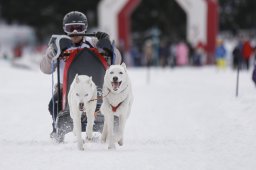 Lenzerheide 2013